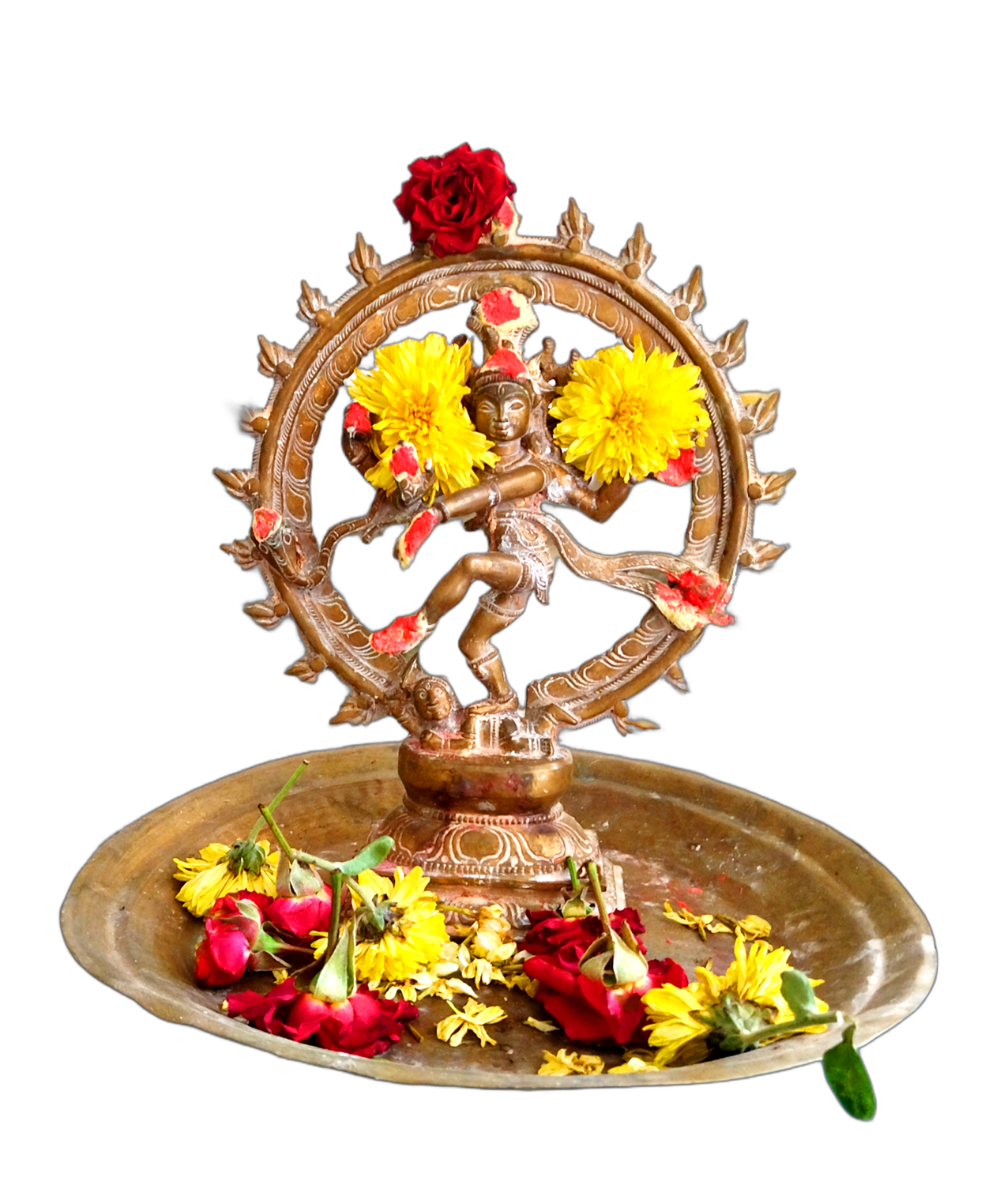 Nadi Astrology Online